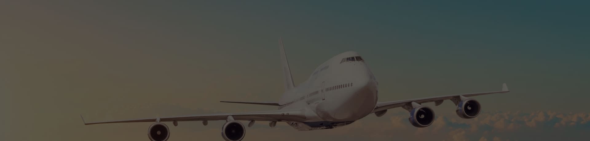 100+ Airlines & Travel Partners across the globe